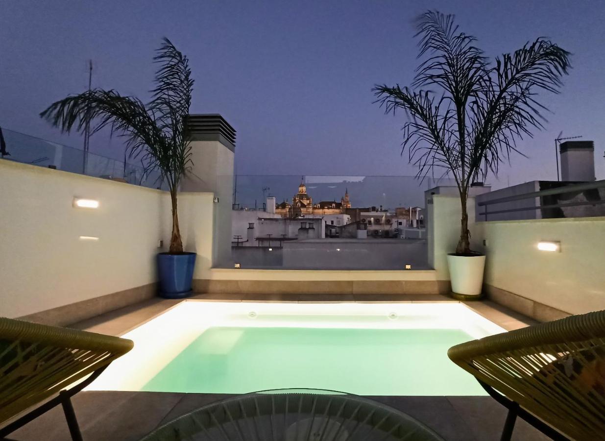 Luxury Penthouse With Private Pool Setas Monument Apartment