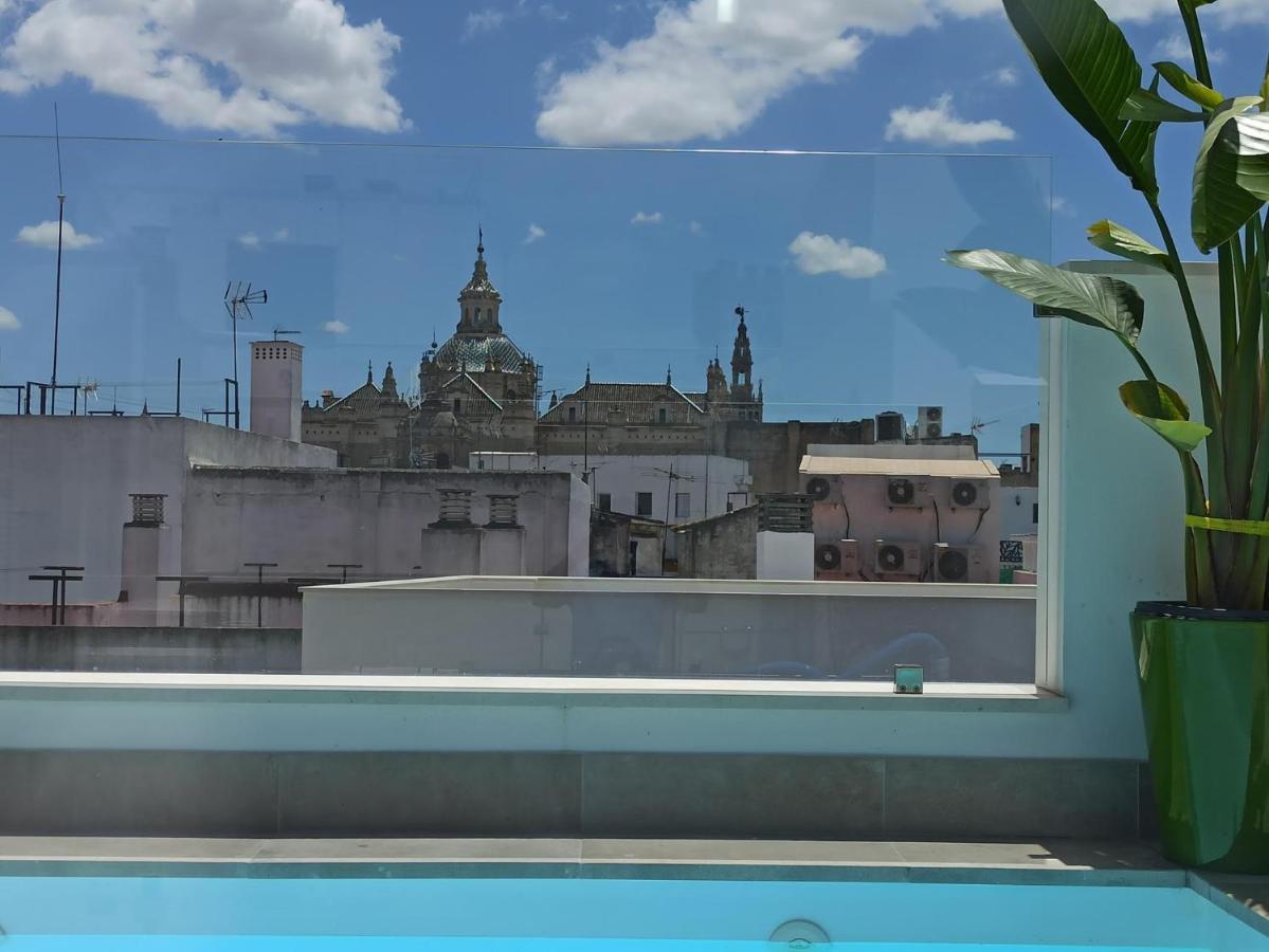 Luxury Penthouse With Private Pool Setas Monument Apartment Seville